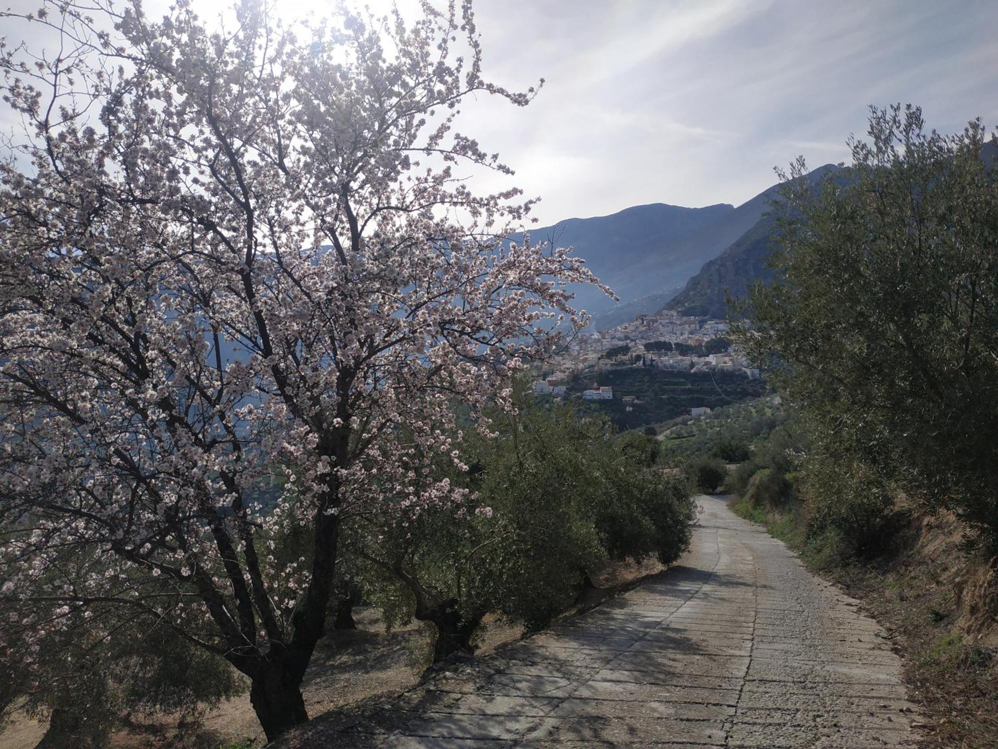 Albanchez de ÚbedaCasa Rural Maestros别墅 外观 照片