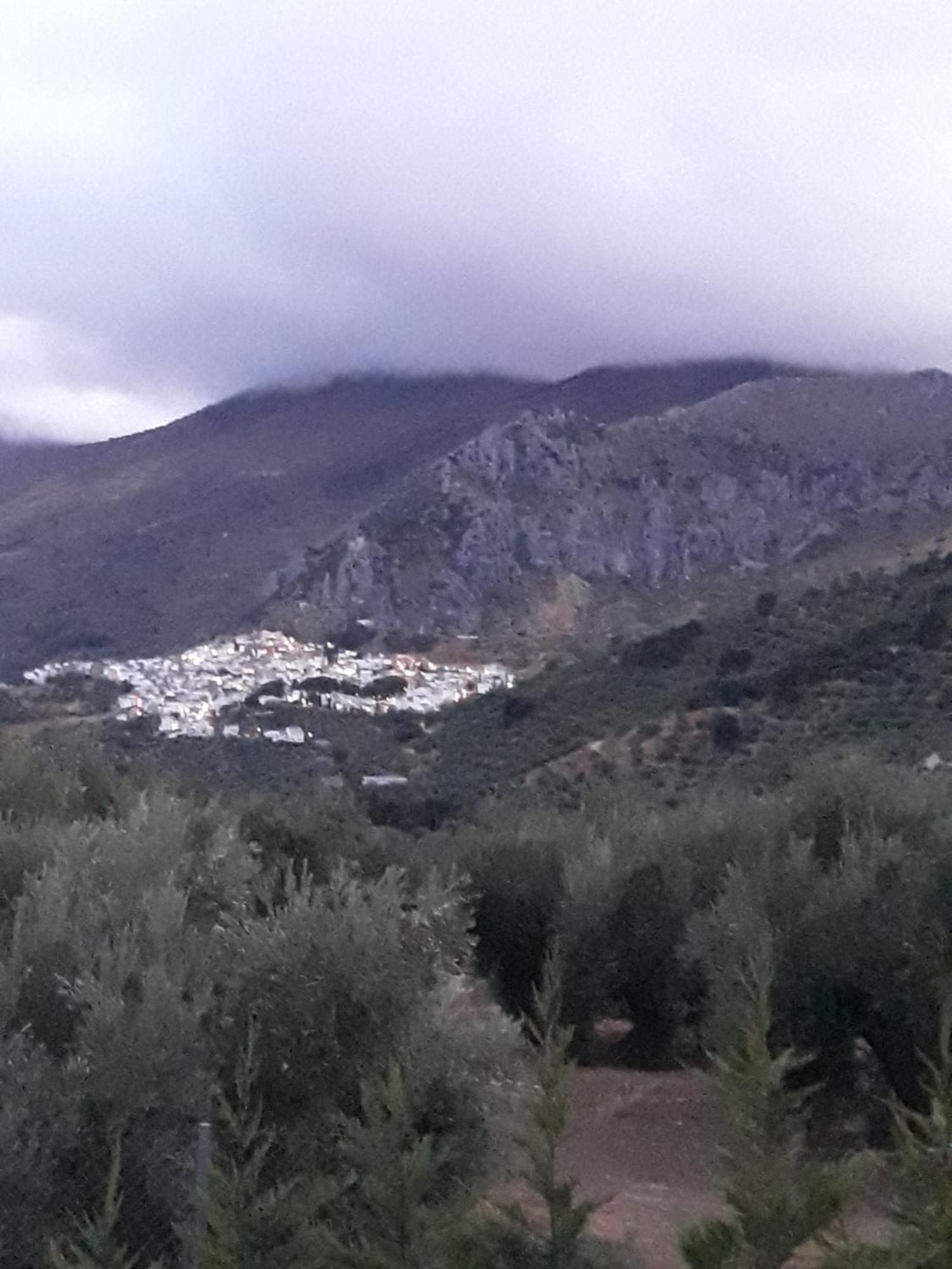 Albanchez de ÚbedaCasa Rural Maestros别墅 外观 照片